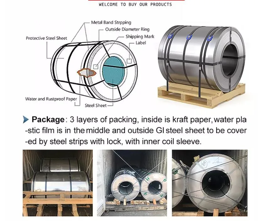 Prepainted/Color Coated/Galvanized/Zinc Coated/Galvalume/Aluminum/Carbon/ Copper/Monell Allo/Ss400/A36/Z275/304/316L/430/904L/Stainless/PPGL/PPGI/Gi/Steel Coil